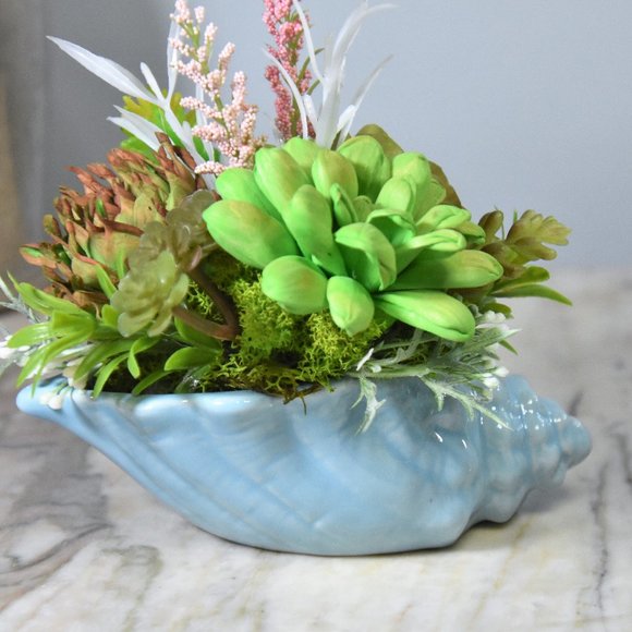 Blue seashell planter fille with sustainable Sola wood airbrushed succulents - - Picture 4 of 7